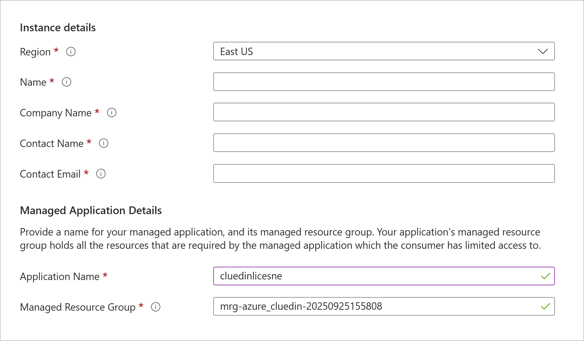 Basics tab instance details (Region, Name, Company Name, Contact Name, Contact Email) and managed application name and managed resource group