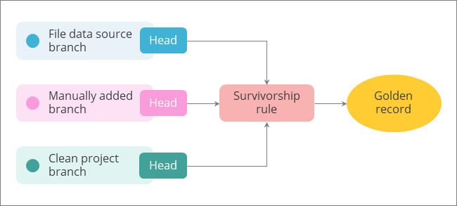 Diagram: the heads of the file data source, manually added and clean project branches feed a survivorship rule, which produces the golden record