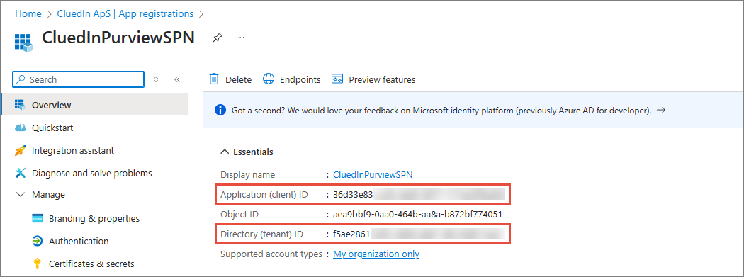 The app registration Overview page, with the Application (client) ID and Directory (tenant) ID highlighted in Essentials